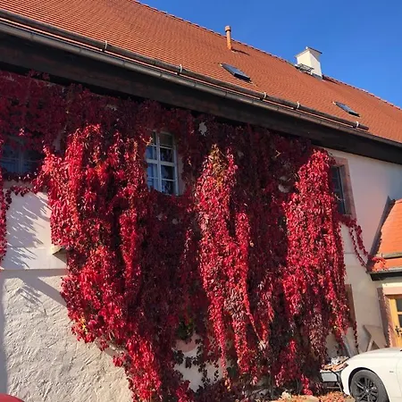 Butterfly Apartment Grimma