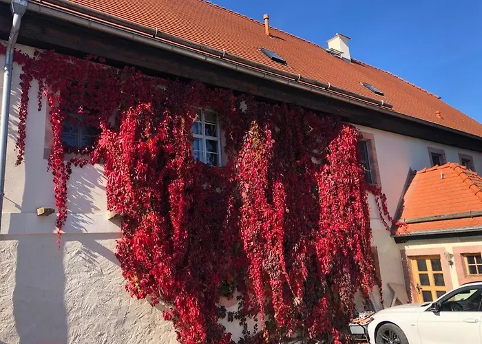 Butterfly Apartment Grimma